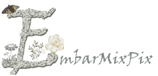 EmbarMixPix